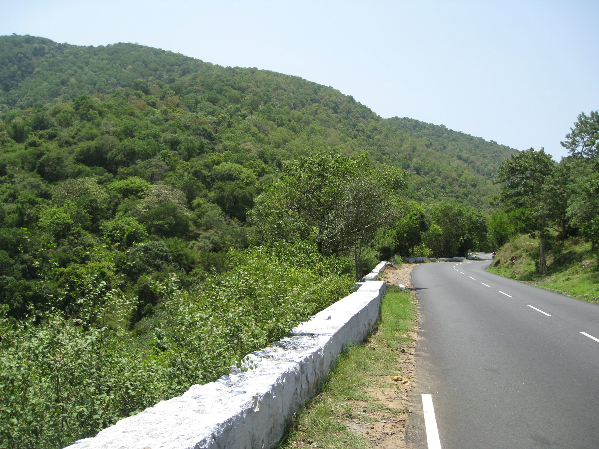 Dimbam ghat, NH-948